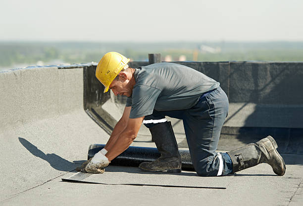 Best Insulation Materials and Products in Magnolia, MS
