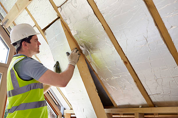 Best Insulation Maintenance and Repair in Magnolia, MS