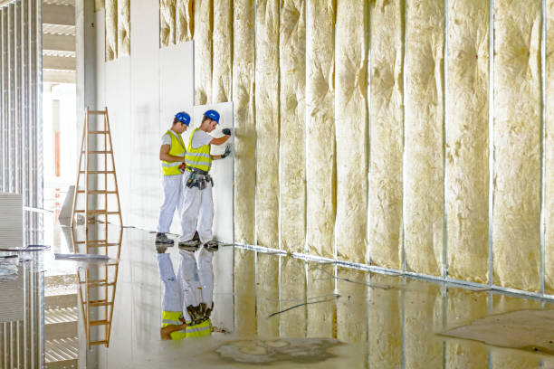 Best Residential Insulation in Magnolia, MS